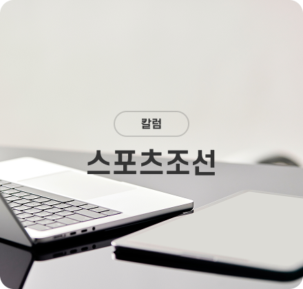 스포츠조선 컬럼